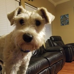 Meet your Posher, Brad